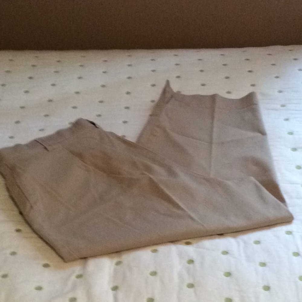 Relativity Crop Pants